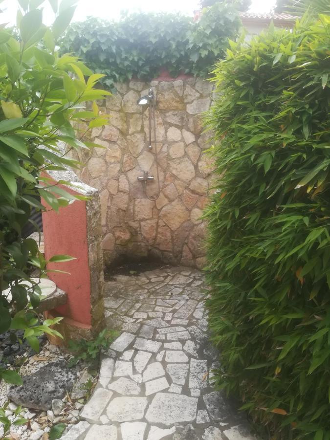Villa Edward Premantura Exterior foto